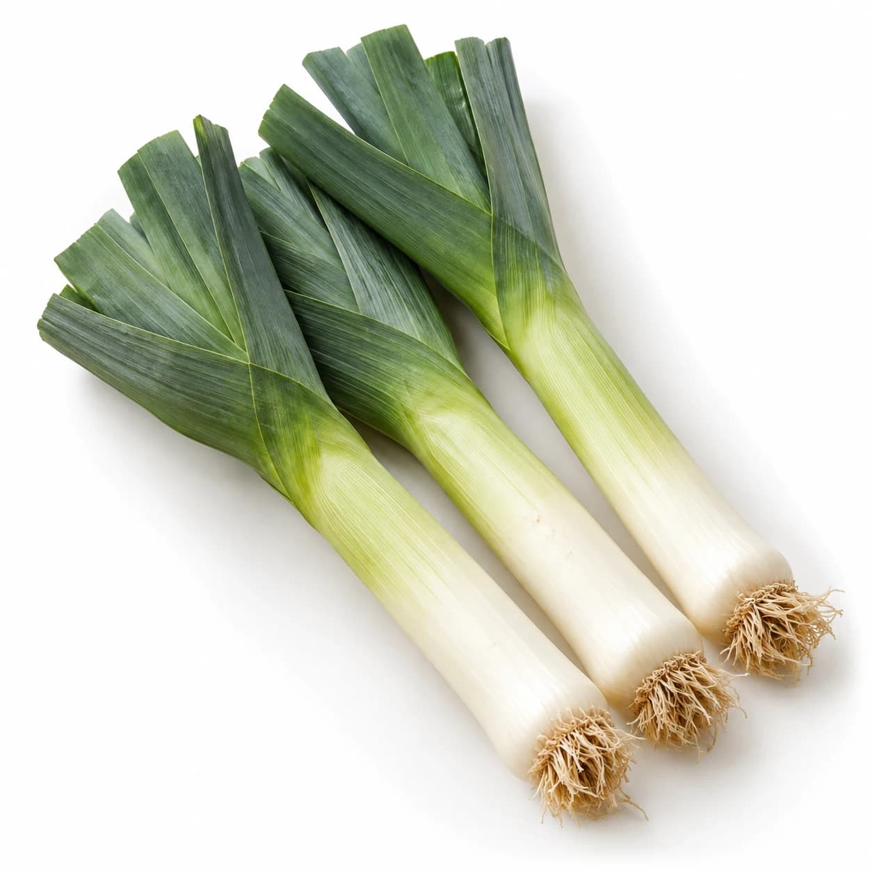 Poireaux